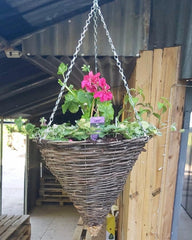 Conical Hanging Baskets