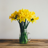 Bunches of Daffodils