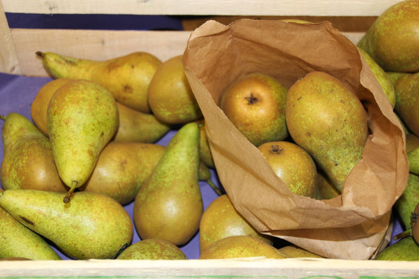 Pears (conference)