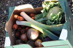 Naturally Grown Mini Veg Box