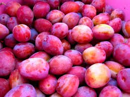 Plums (Victoria) kg