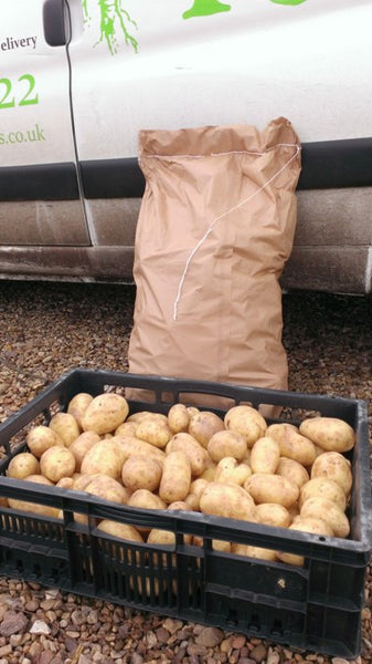 New British Potatoes (25kg)