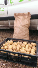 New British Potatoes (25kg)