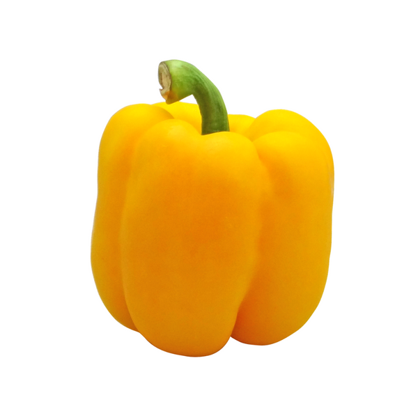 Yellow Pepper