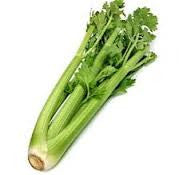 Celery