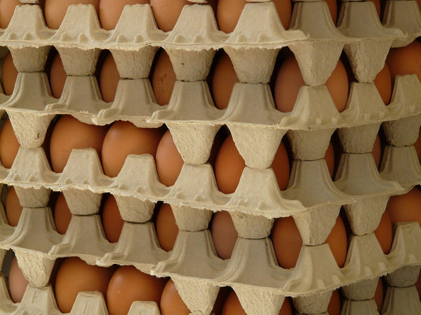 Tray of 30 Eggs