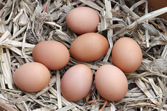 Half-Dozen Eggs
