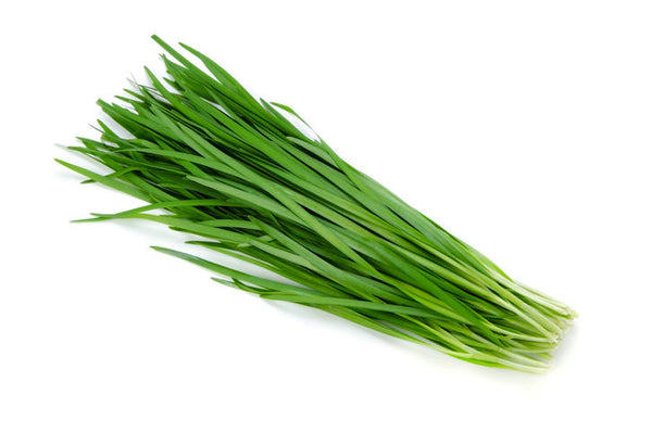 Chives