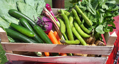 Naturally Grown Standard Veg Box