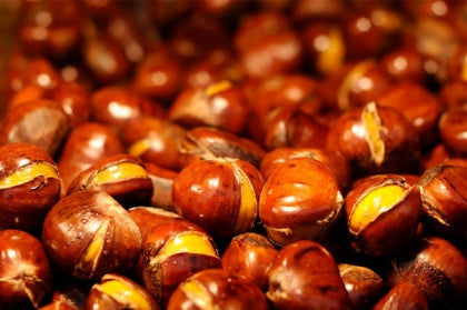 Fresh Chestnuts ready for cooking for Christmas